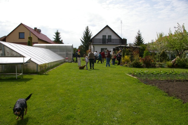 01.jpg
