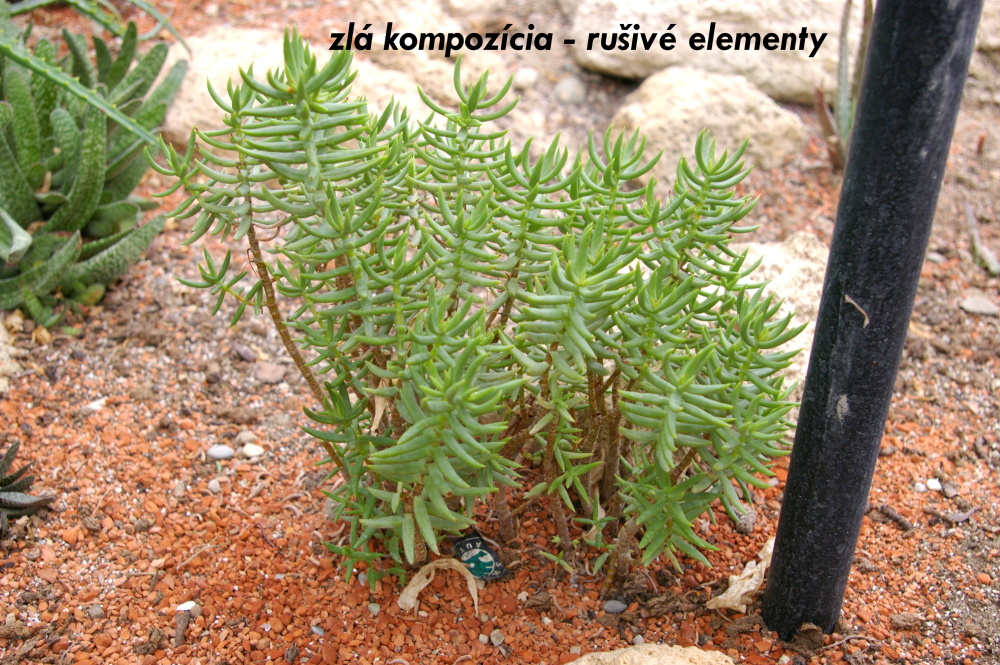 01c zla kompozicia